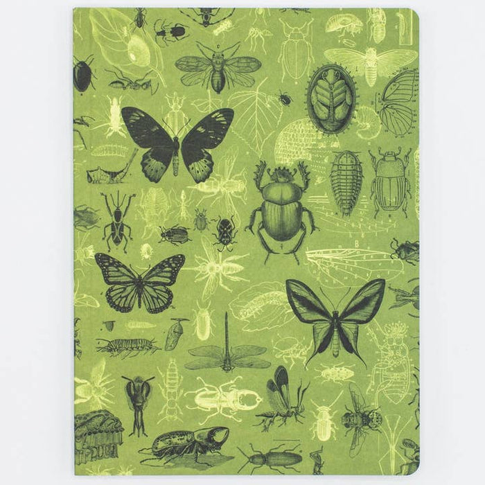 Insectos mariposas y escarabajos Softcover Notebook | Rejilla