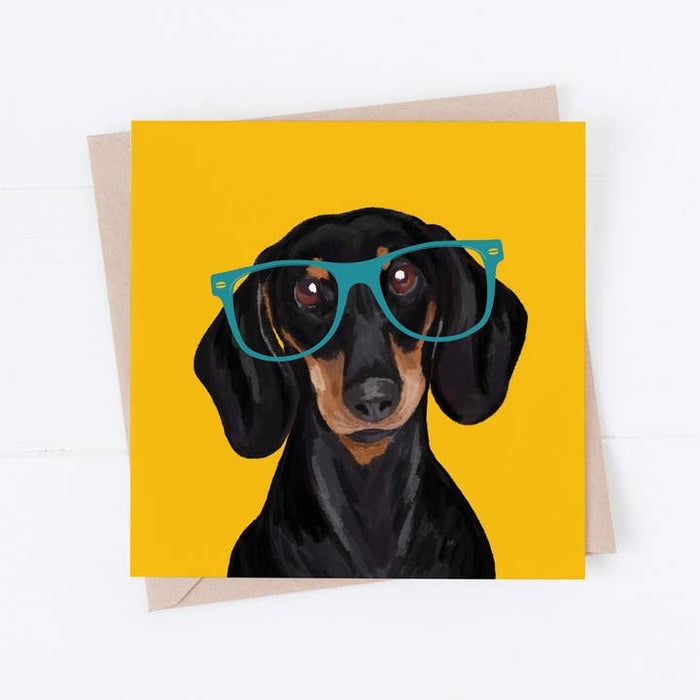Mapa de gafas perro | Perro tejonero