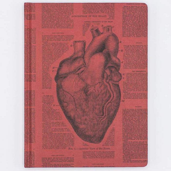 Notebook de tapa dura de corazones anatómicos