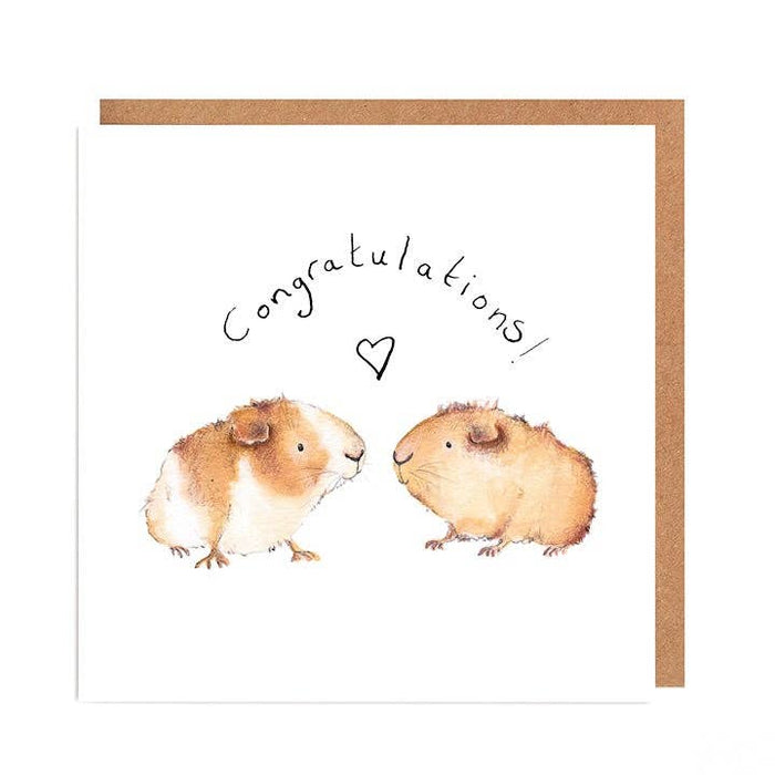 ¡Felicitaciones a la tarjeta! | Conejillos de indias de Gary y Carri