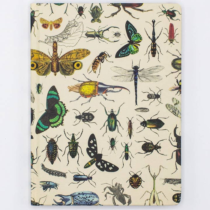 Notebook de tapa dura de insectos - Páginas alineadas/de cuadrícula