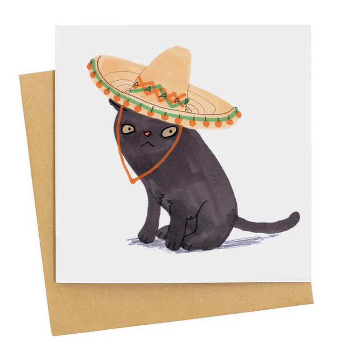 Gato con sombrero