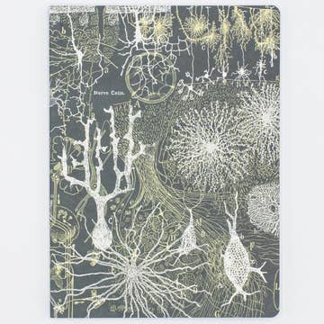 Neurons Softcover Notebook | Lined