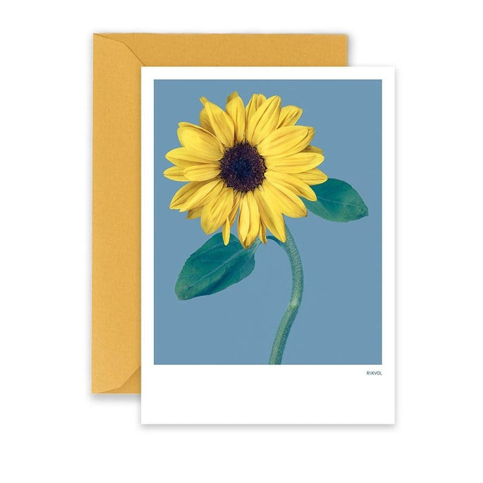 Tarjeta Girasol