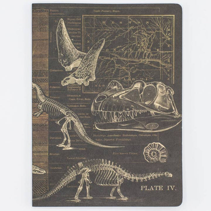 Cuaderno de tapa blanda de Dinosaurus