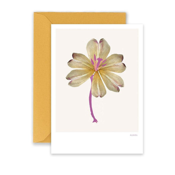 Kaart Flower Collage 01 Krossproducts | De online winkel voor hebbedingetjes